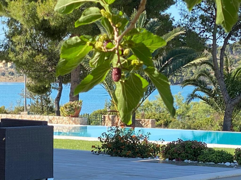 Villa Grace Porto Heli Esterno foto